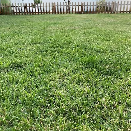 Gafa House - Family And Workplace וילה *